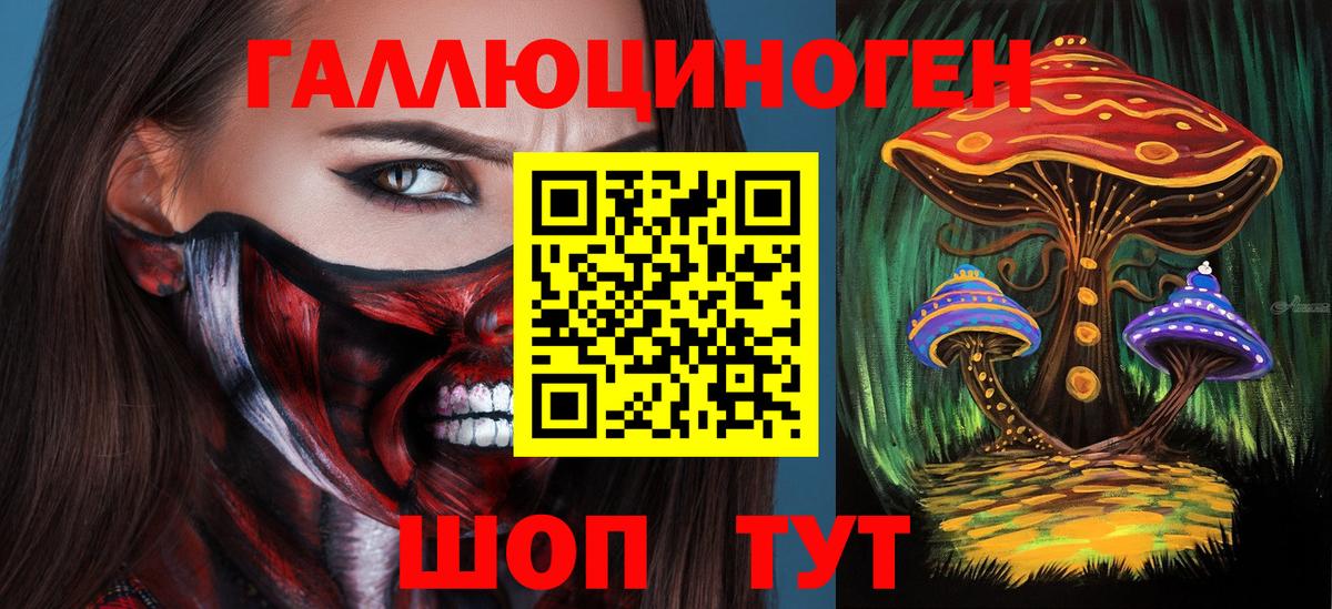 Улан-Удэ  Псилоцибиновые грибы прущие грибы  Вход с VPN 
