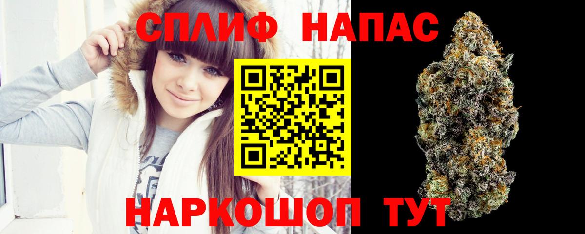 Улан-Удэ  Бошки марихуана планчик  Канабис планчик  Марихуана конопля  Вход с VPN 